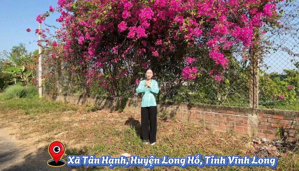 Vườn nghĩ dưỡng Phường Tân Hạnh giá cực tốt