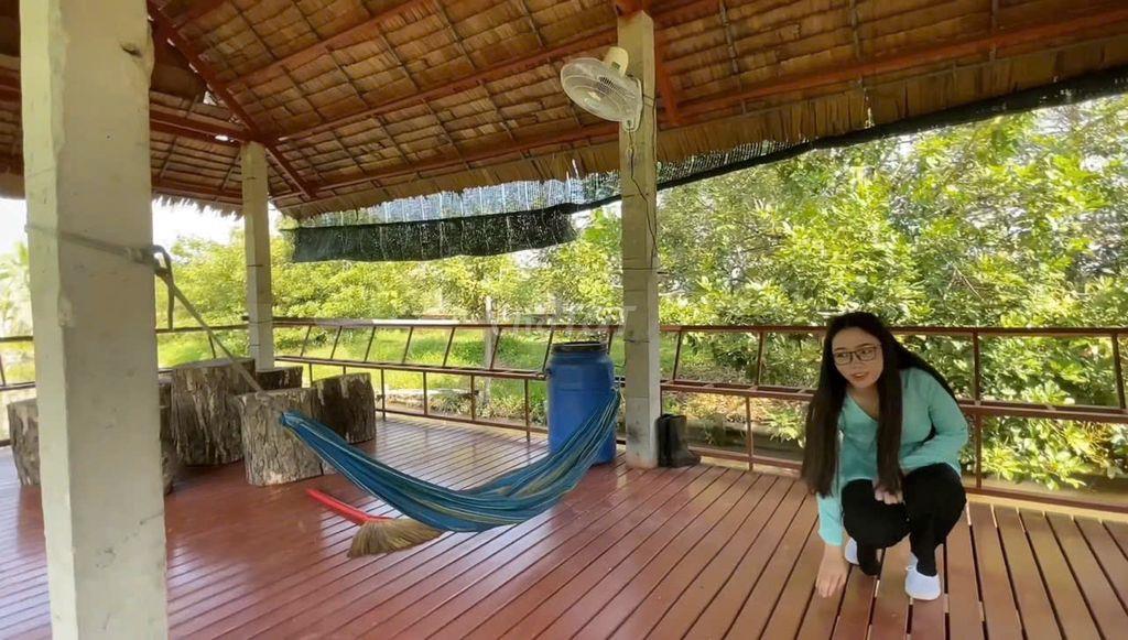Vườn nghĩ dưỡng Phường Tân Hạnh giá cực tốt
