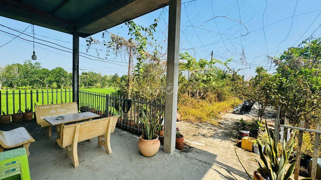 3000m2 sầu riêng tặng nhà mái thái long phước( sắp lên phường long hồ)