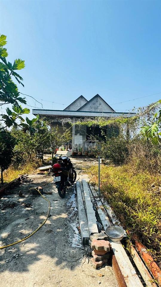 3000m2 sầu riêng tặng nhà mái thái long phước( sắp lên phường long hồ)