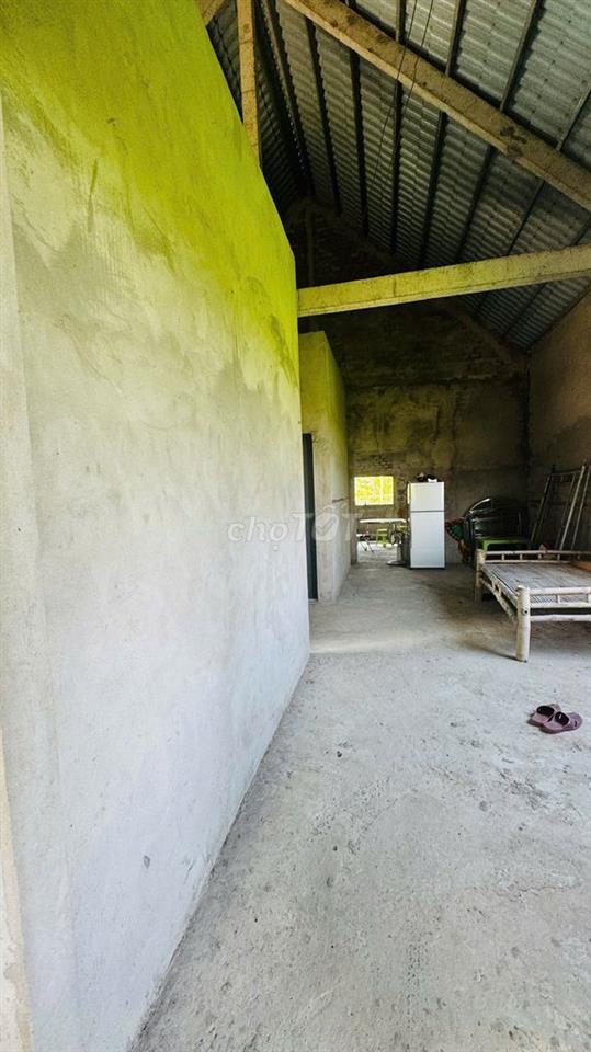 3000m2 sầu riêng tặng nhà mái thái long phước( sắp lên phường long hồ)