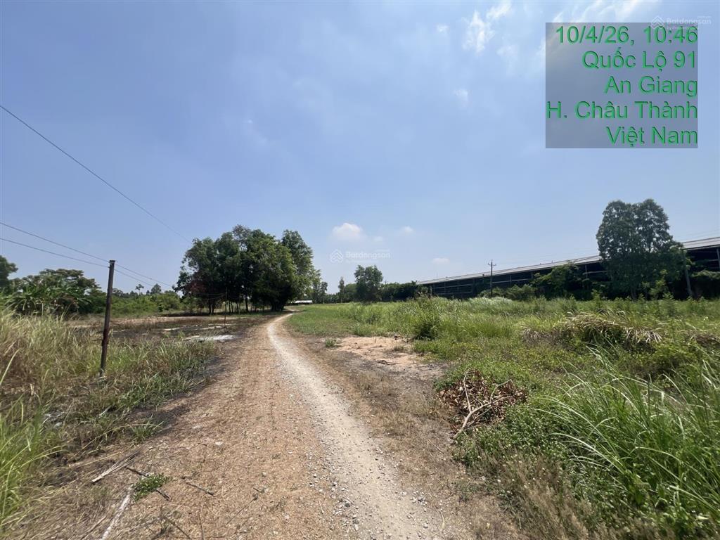 Cho thuê kho, xưởng, showroom diện tích 30.000m2 mặt tiền ql91, trung tâm an giang  gần long xuyên