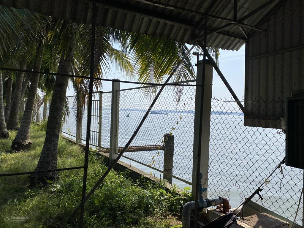 Cho thuê kho, nhà xưởng 10.000m2 tại mỹ quý, long xuyên, an giang, giá thỏa thuận