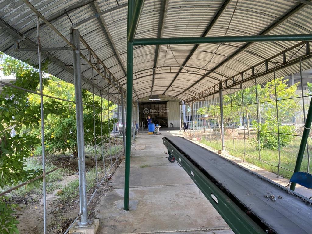 Cho thuê kho, nhà xưởng 10.000m2 tại mỹ quý, long xuyên, an giang, giá thỏa thuận