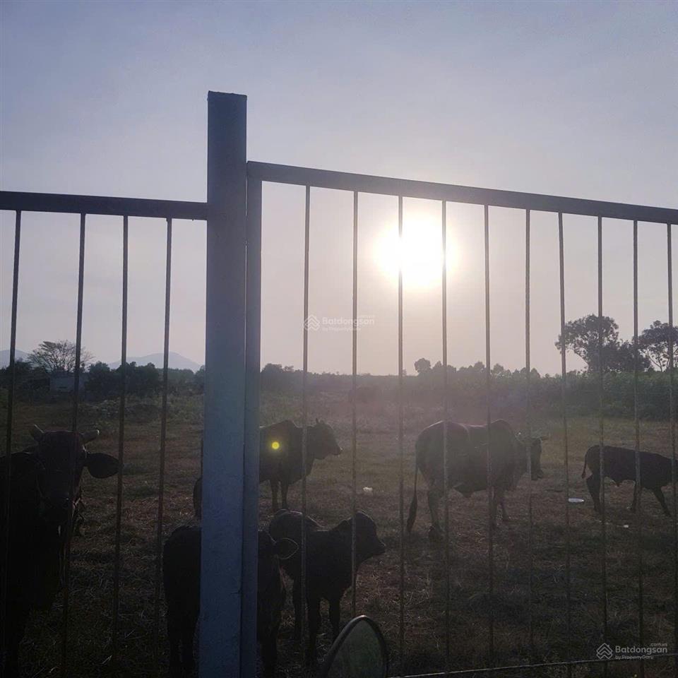 Bán đất làm nhà xưởng diện tích lớn có thổ cư giá tốt đầu tư