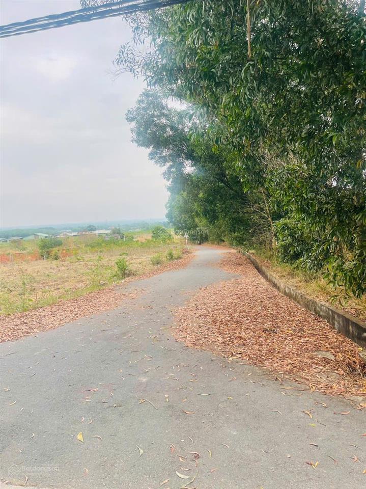 Xuất hiện đất làm nhà xưởng có 1 không 2 đã có điện 3 pha