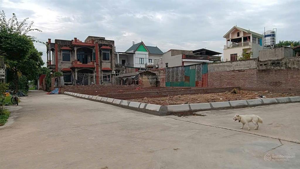 Bán đất đẹp tại hoàng dương, mai đình, sóc sơn, hà nội