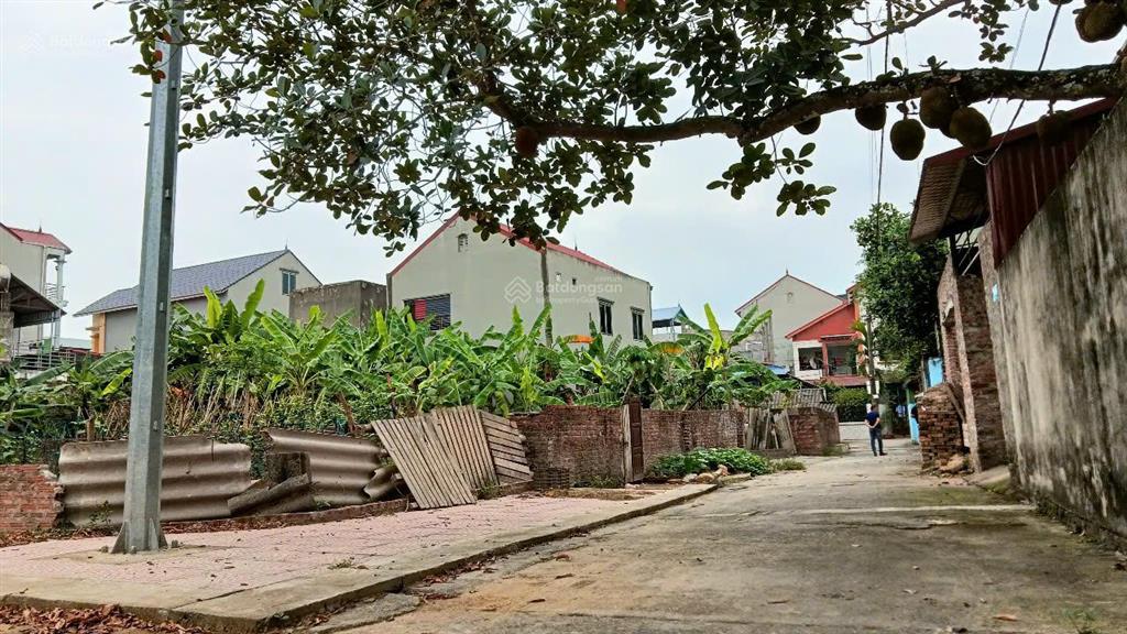 Bán đất tại thôn hương đình, xã mai đình, sóc sơn, hà nội, 38 triệu / m2, 140 m2