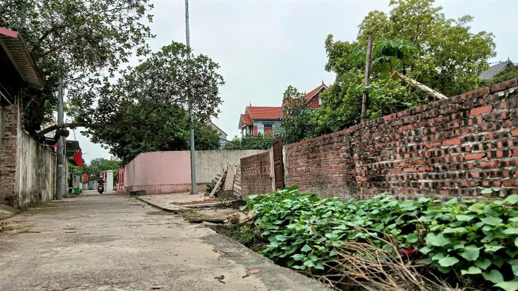 Bán đất tại thôn hương đình, xã mai đình, sóc sơn, hà nội, 38 triệu / m2, 140 m2