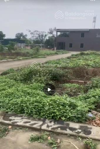 Bán 150m2 đất thế trạch giá tốt