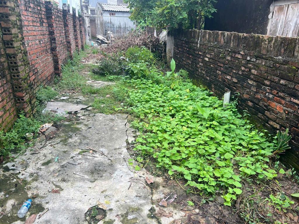Bán 196m2 (chia 2 được) thôn dư xá, ninh xá. huyện thuận thành. bắc ninh.  0985 299 ***