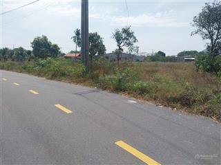 Chính chủ bán đất nhà vườn 916.6m2 xã long mỹ (cũ) phước hải (mới)