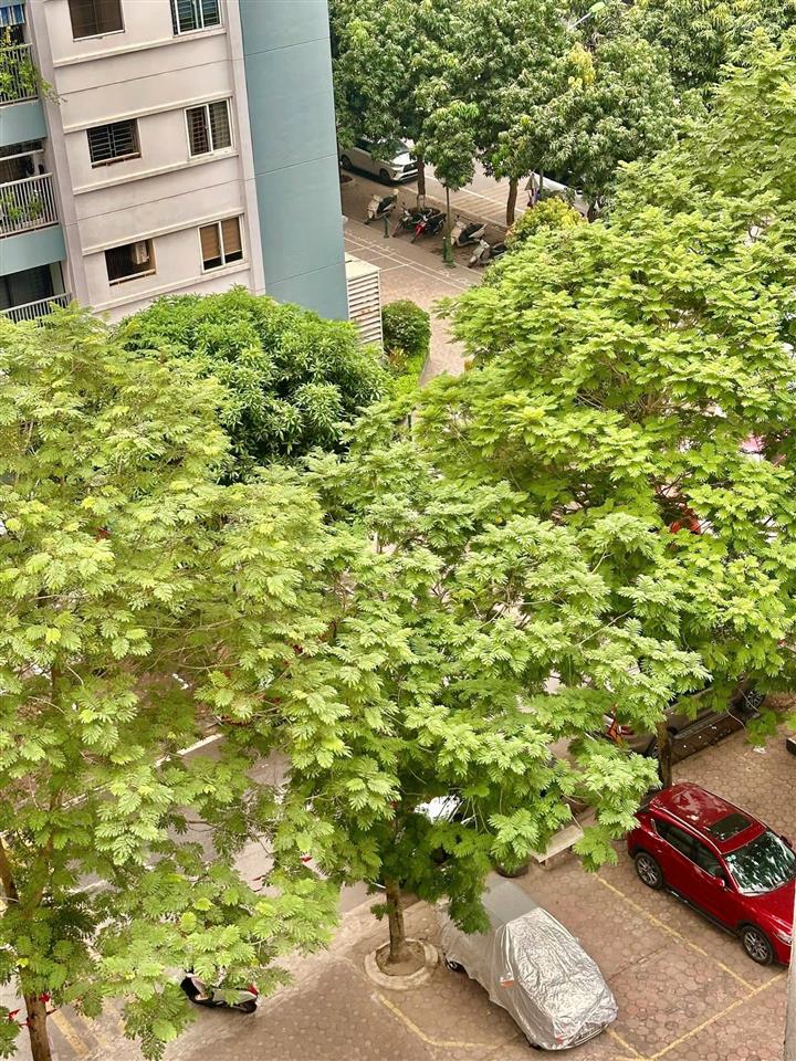 Bán căn hộ đẹp ct1a1 tây nam linh đàm hoàng liệt hà nội. 2ngủ nội thất mới 100%