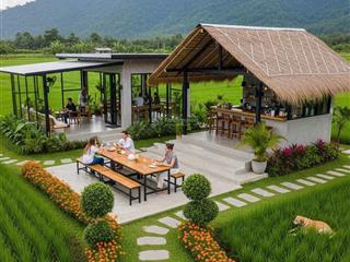 Nhà vườn xuân đông 2000m có 100m ont giá rẻ