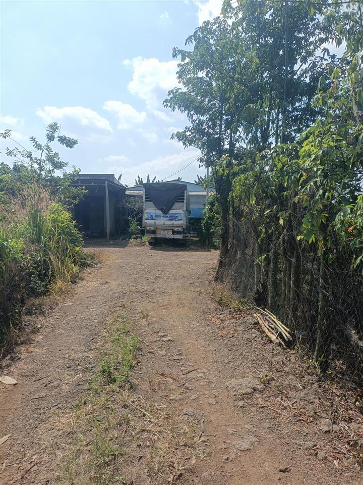 Nhà vườn xuân đông 2000m có 100m ont giá rẻ