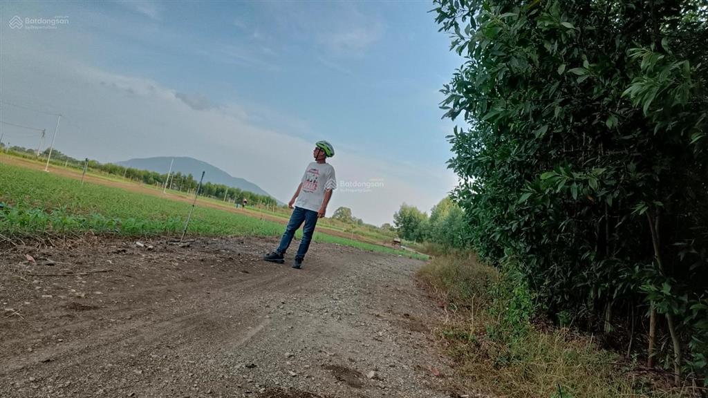 Bán 2400m dính đường 773 giá 1tyxx