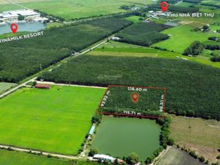 Chính chủ cần bán nhanh lô đất 11282m2 tại bến cầu, tây ninh, vị trí đẹp, sổ trao tay