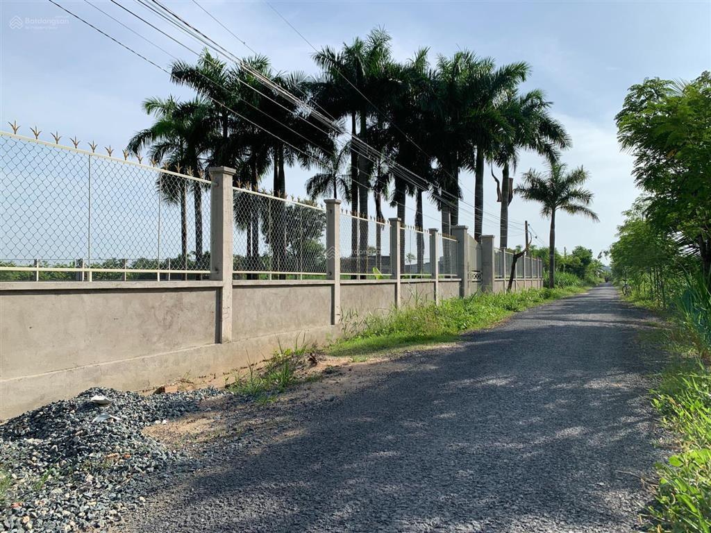 Chính chủ bán đất đường lăng hoàng gia, phường sơn qui, đồng tháp (tp. gò công cũ)