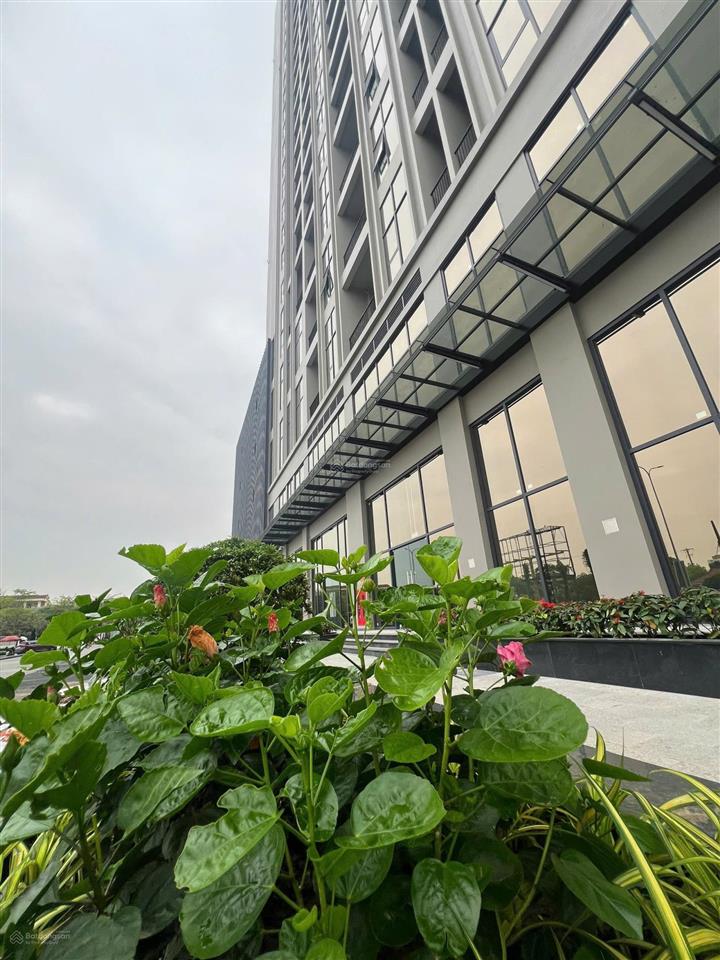 5,2 tỷ/83 m2 2 ngủ(tặng thêm voucher 450700 triệu) tầng trung view khu biệt thự siêu đẹp wisteria