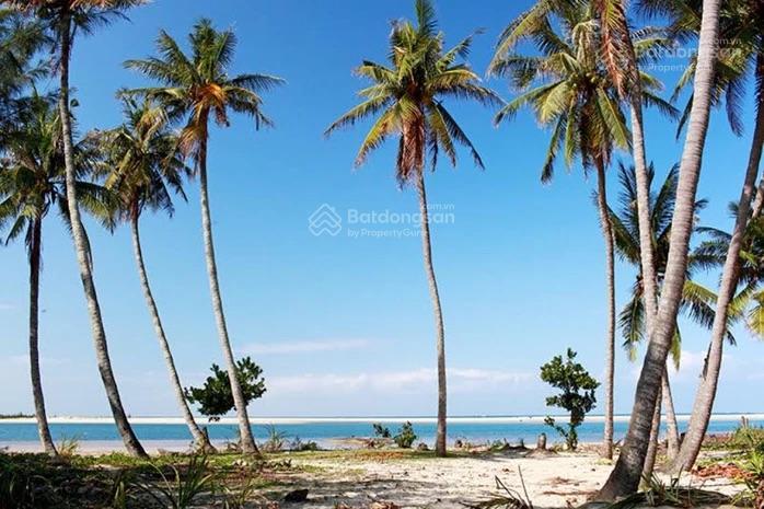 Bán gấp đất 119m2 tại thôn ngọc an biển tam tiến, 780 triệu vnd