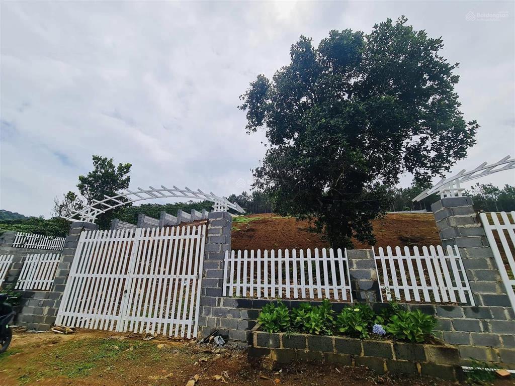 Bán đất xã b'lá, 10*60m, 606m2 tc, giá 2.2 tỉ