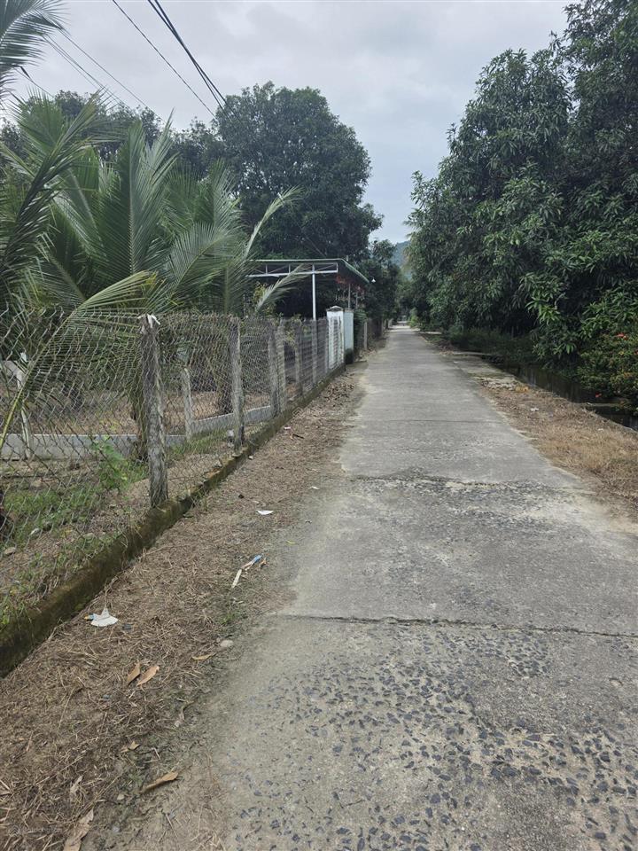 Bán đất dân 100% thổ cư tại xã cam tân