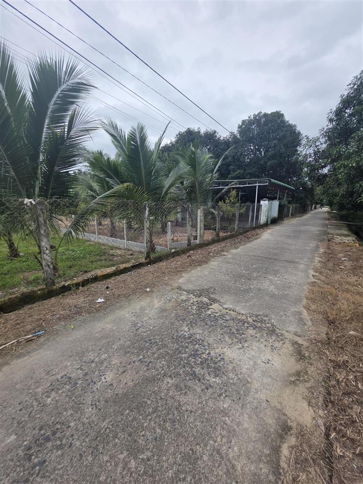 Bán đất dân 100% thổ cư tại xã cam tân