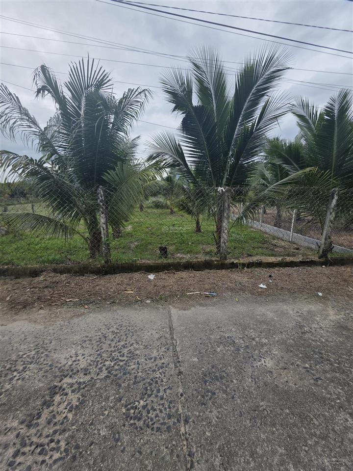 Bán đất dân 100% thổ cư tại xã cam tân