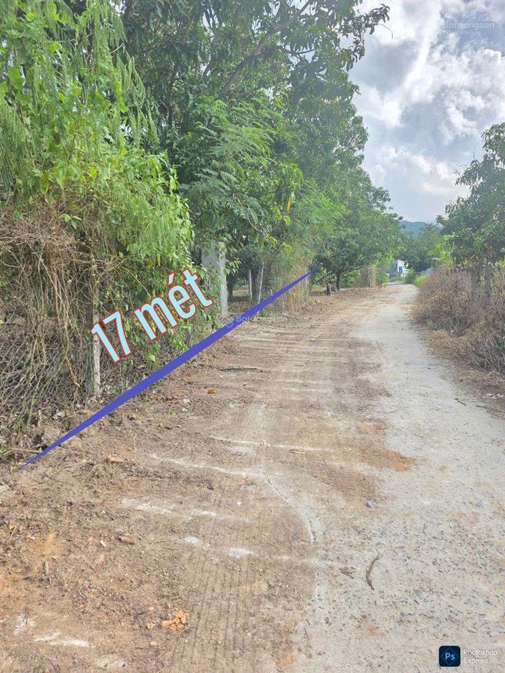 Đất 100% thổ cư gần nút giao cao tốc rẽ xuống biển bãi dài. đường lớn 30met