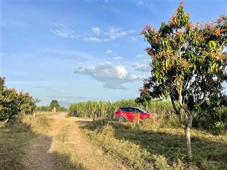 Bán đất nam ninh hòa  84m² full thổ cư, cách đt5 chỉ 200m, giá 285 triệu.  0899 509 *** lành