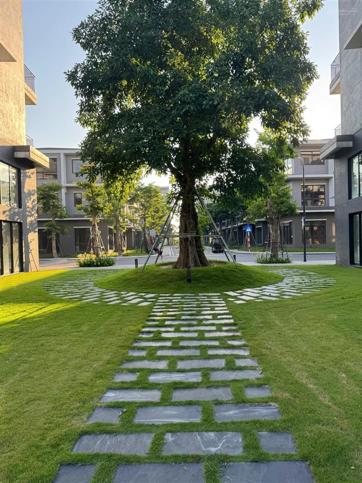 Cắt lỗ sâu 800tr bán căn xẻ khe đại lộ hùng vương  eco central park vinh  nghệ an 0941 358 ***