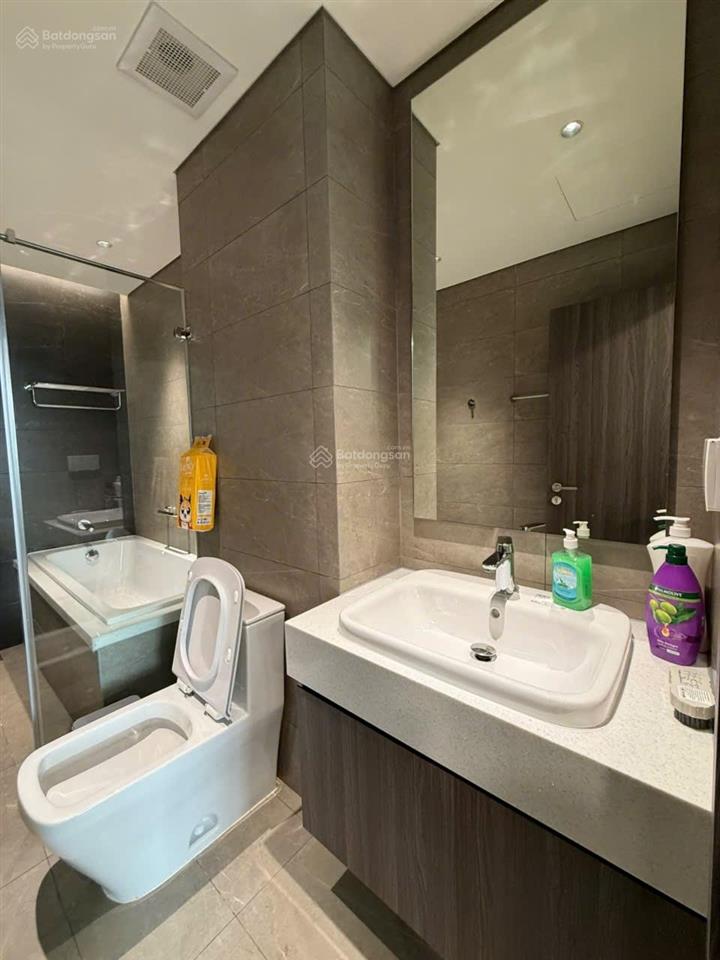 Bán 3pn 120m2, ntcb + 1 chỗ đậu ôtô, view rừng, giá 10,5 tỷ, diamond centery celadon city