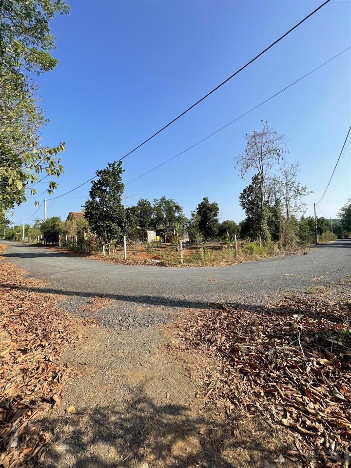 Chính chủ bán 8500 m2 đất, lô góc 2 mặt tiền đường nhựa, xã bàu lâm, tp.hcm