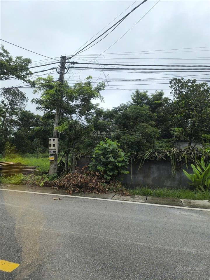 Bán đất thôn ngọc nhị xã cẩm lĩnh cũ (nay là xã bất bạt)  hn