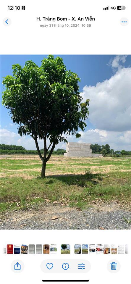 Bán đất tại xã an viễn, 2,6 tỷ, 118,4m2