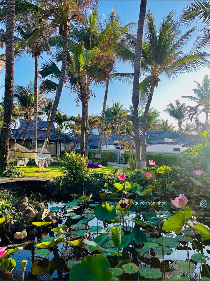 Bán 19,550m2 resort biển kê gà