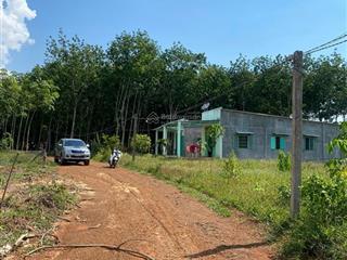 Kẹt tiền bán gấp lô đất gần đt749b gần hồ dầu tiếng bình dương (550 triệu/1200m2)