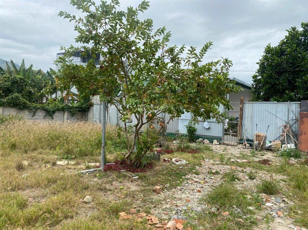 Bán đất ngay khu dân cư xuân tự 1, xã vạn hưng, vạn ninh, khánh hoà