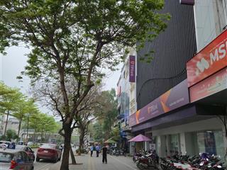 Bán nhà mp nguyễn khánh toàn dt 190m2, mặt tiền 11,5m, giá 117 tỷ. hai mặt tiền trước sau, có gpxd