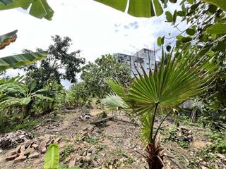 Cho thuê nhà đất có tường bao kiên cố, điện nước đầy đủ, mặt tiền 9m, có sẵn cây ăn trái trên đất