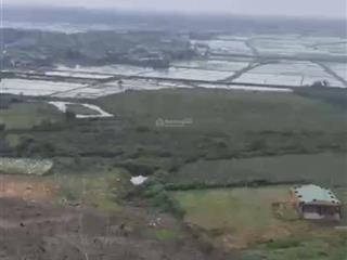 Bán trang trại thạch xuân hà tĩnh. vị trí đẹp gần đường hàm nghi