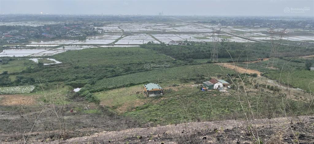 Bán trang trại thạch xuân hà tĩnh. vị trí đẹp gần đường hàm nghi