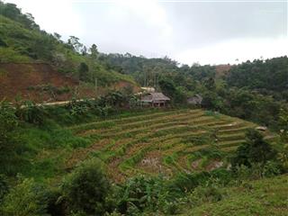 Cơ hội vàng đầu tư đất nghỉ dưỡng tại xóm mừng, cao phong  hòa bình