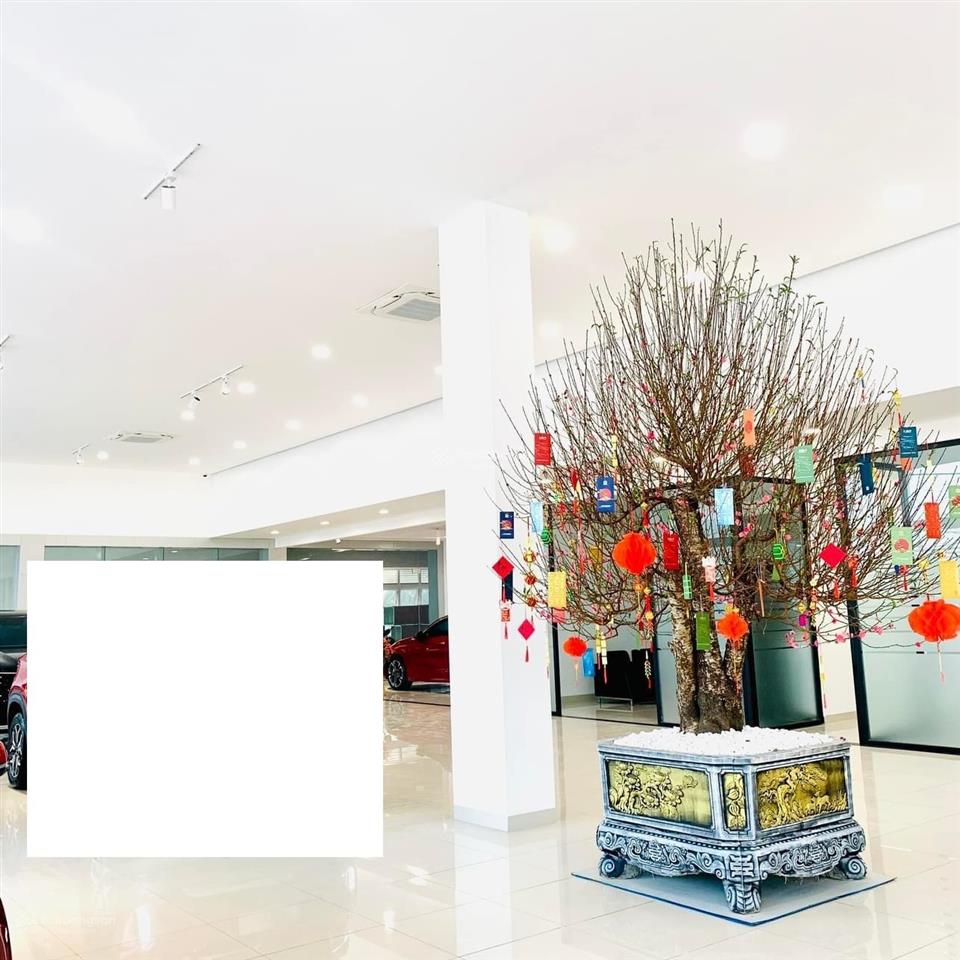 Cho thuê showroom 2000m2, 50m mặt tiền đường quốc lộ 2, tiền châu, phúc yên, phú thọ