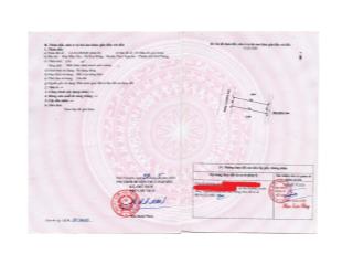 Cho thuê đất làm nhà xưởng, kho hàng, cửa hàng hoặc bến bãi.