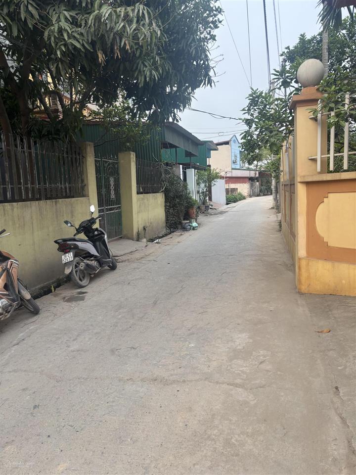 Bán đất thôn do hạ tiền phong mê linh hn. dt 102m2 mt 5m giá 65tr/m2 cách đường 23b 100m