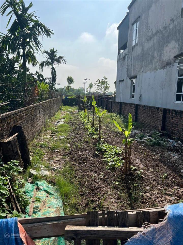 Chính chủ cần bán lô đất phân lô 2 mặt thoáng, 146m2 gần đường vành đai 4, xã hồng hà, đan phượng