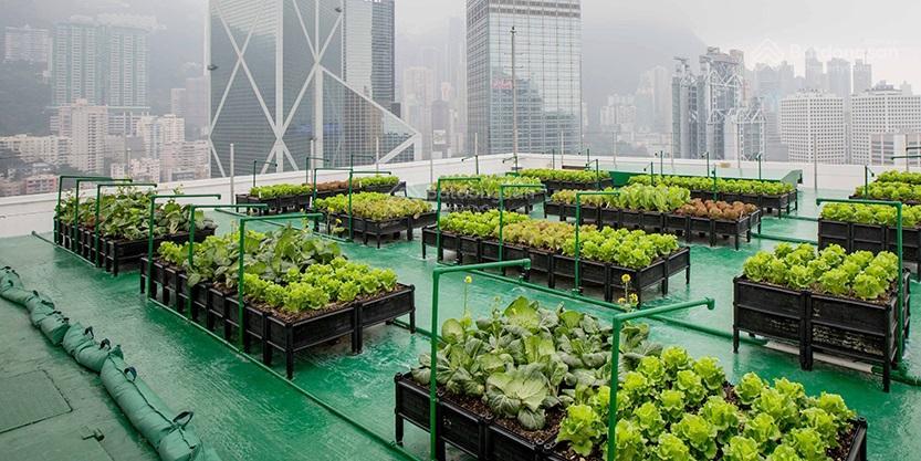 Cho thuê văn phòng phố nhân hòa, thanh xuân, hà nội, dtsd 65m2, thông sàn, giá 13tr/tháng