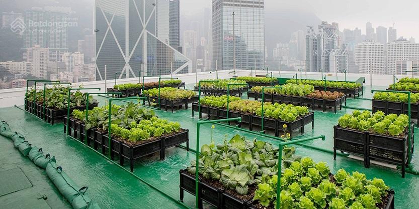 Cho thuê văn phòng phố lê văn lương, thanh xuân, hà nội, dtsd 110m2, thông sàn, giá 10,5tr/tháng