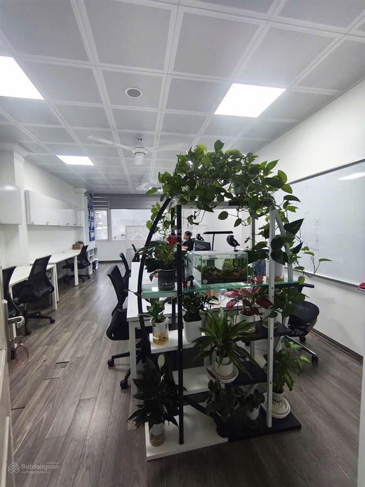 Cho thuê vp phố linh lang, phường ba đình, hà nội, dtsd 105m2, giá 25tr/tháng